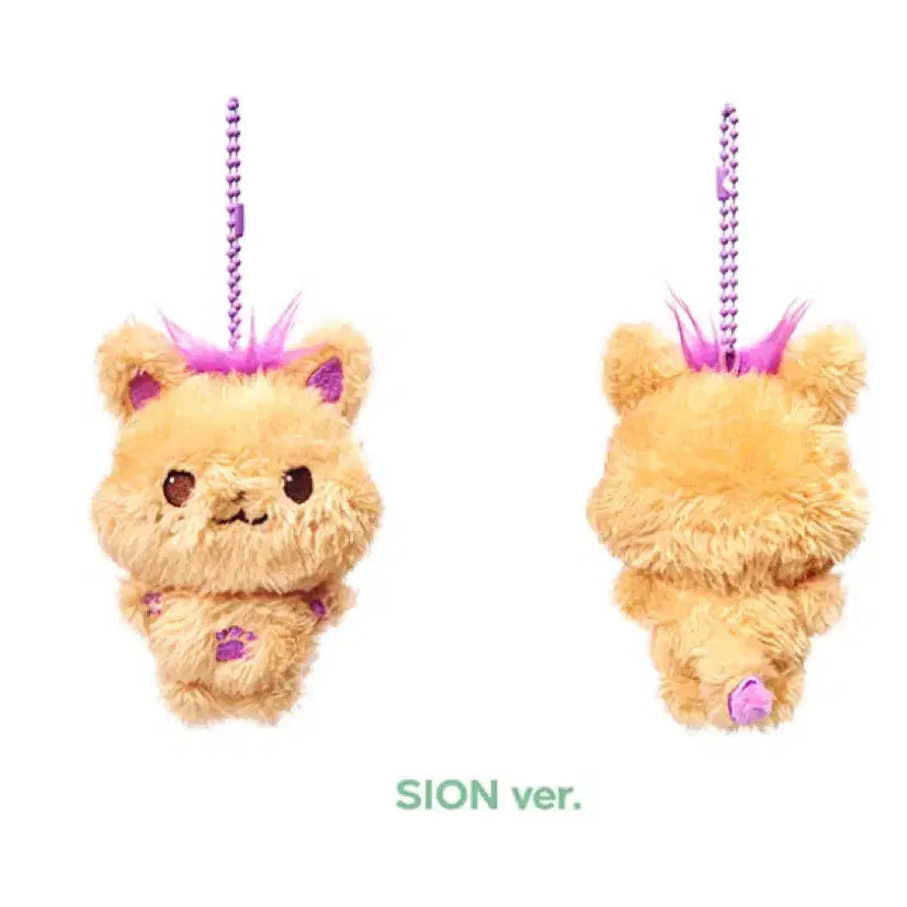 [BUNJANG] NCT WISH Sion (Sicheng) Cignature Bundle Set / 엔시티 위시 시오닝 일괄
