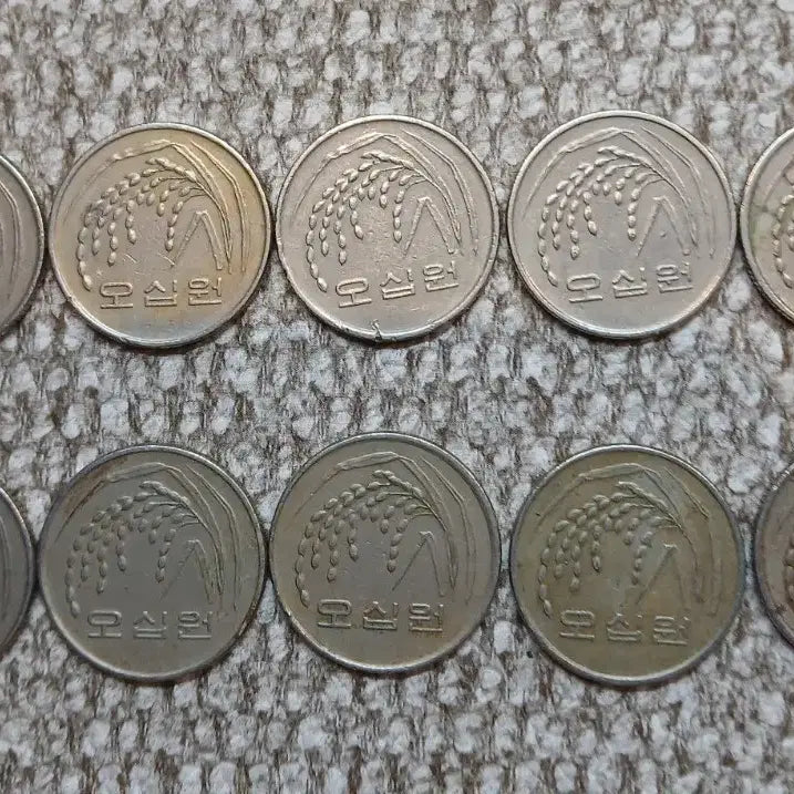 [BUNJANG] 1988 50 Won Coin Bundle / 1988년 50원 동전 10개 일괄
