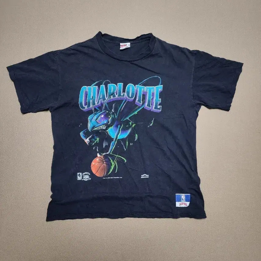 [BUNJANG] 1994 NBA Charlotte Hornets Nutmeg Mills Vintage T-Shirt XL / 1994 오리지널 빈티지 NBA 샬럿 호네츠 넛멕 티셔츠54