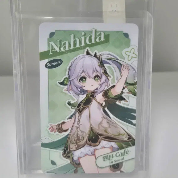 [BUNJANG] Genshin Impact Nahida Card / 원신 카페 나히다 카드