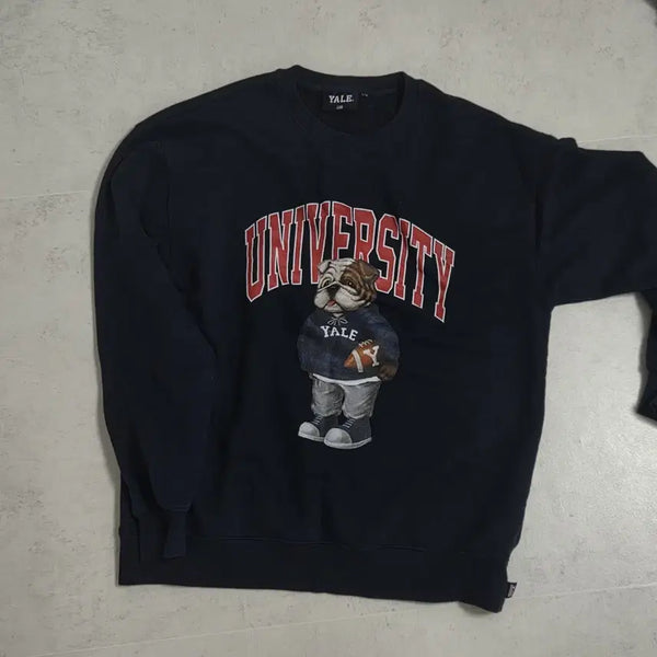 [BUNJANG] Yale Sweatshirt Navy M Non-Fleece / 예일 맨투맨 네이비 M 논기모