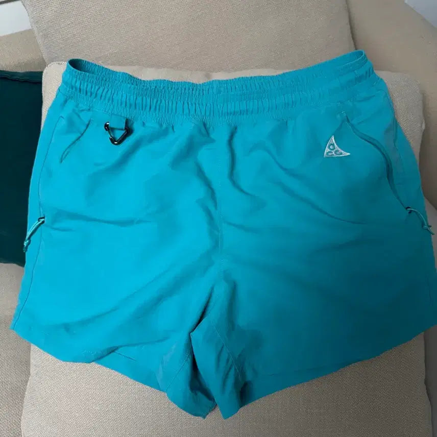 [BUNJANG] Nike ACG Lerva Goatee L Shorts / 나이키 acg 레저브아 고트 L 새상품