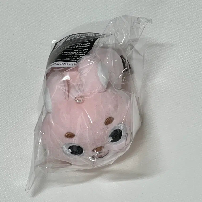 [BUNJANG] DAY6 Denimals Wonpil Lying Version Photocard / 미개봉 새상품) 데이식스 전투 굿즈 데니멀즈 원필 라잉 버전