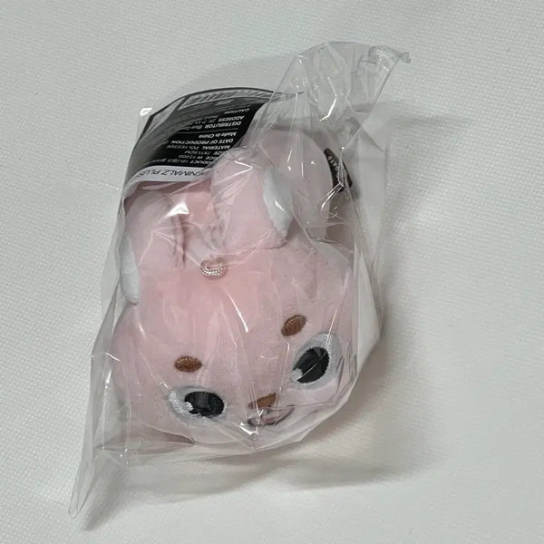[BUNJANG] DAY6 Denimals Wonpil Lying Version Photocard / 미개봉 새상품) 데이식스 전투 굿즈 데니멀즈 원필 라잉 버전