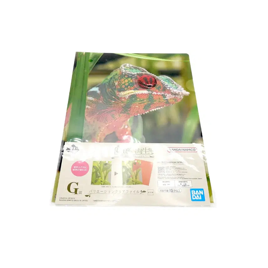 [BUNJANG] Ichiban Kuji Reptiles and Amphibians G Prize Chameleon File (Sealed) / [미개봉] 이치방쿠지 제일복권 파충류와 양서류 G상 카멜레온 파일