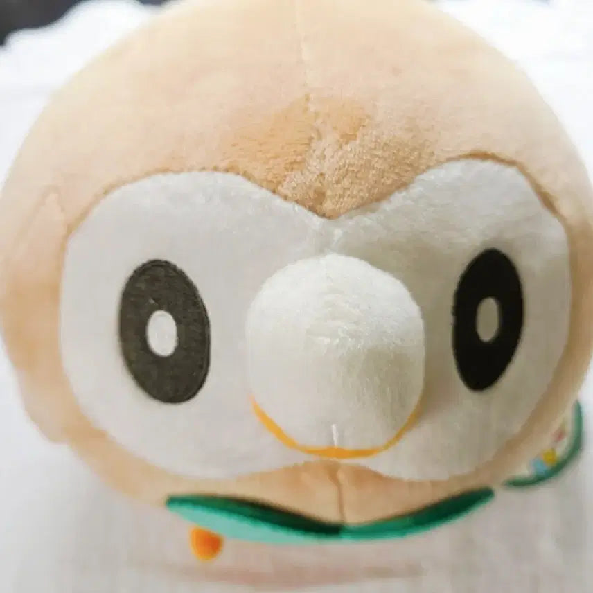 [BUNJANG] Pokemon Rowlet Plush / 포켓몬스터 나몰빼미 포켓몬 공식 정품 인형 택o