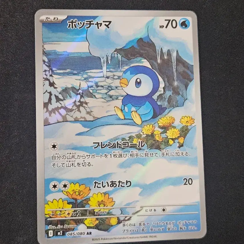 [BUNJANG] Pokemon Card Torchic AR Japanese Edition / 일판 팽도리 ar 포켓몬카드