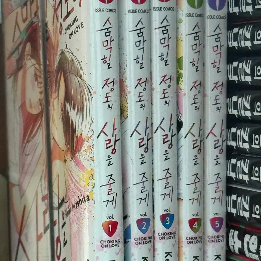 [BUNJANG] Breathless Love Complete Set Volumes 1-5 Manga / 숨막힐 정도의 사랑을 줄게 1-5권 만화책