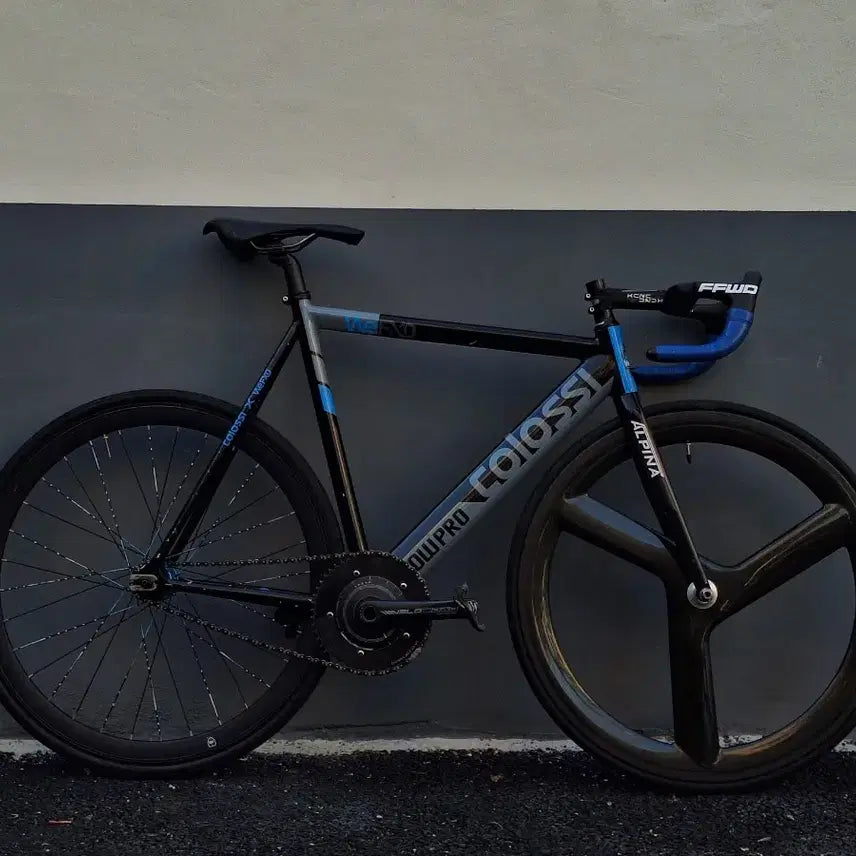 [BUNJANG] Colossi Manila Wefxd 2013 Collaboration Edition Frameset / 콜로시 마닐라 Wefxd 2013 콜라보 에디션 프셋 (브레이크O)