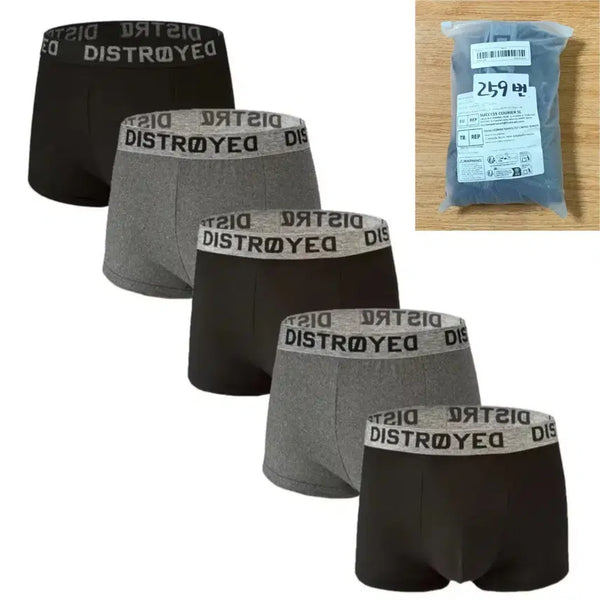 [BUNJANG] Men's Briefs 5-Piece Set (Size 105) / 드로즈_5장 세트_(105)