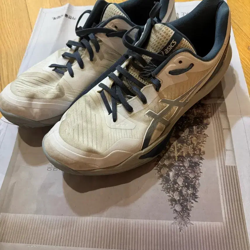 [BUNJANG] Asics Sky Elite FF 3 Shoes (Size 295mm) / [295] 아식스 스카이 엘리트 FF3