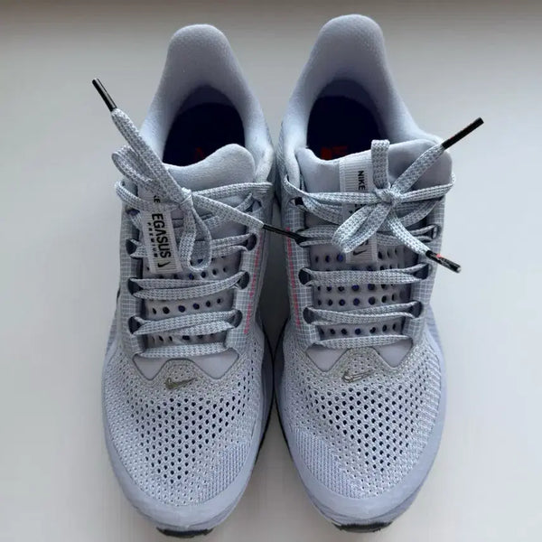 [BUNJANG] Nike Pegasus Premium Running Shoes Ghost/Black-Persian Violet / 나이키 페가수스 프리미엄 250