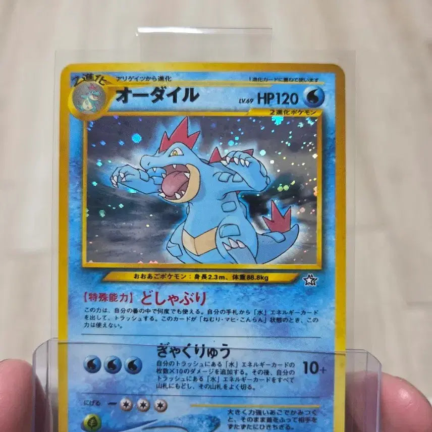 [BUNJANG] Neo Genesis '99 Quilava Holo Pokemon Card / 고대 네오제네시스 '99년도  장크로다일 홀로 포켓몬카드