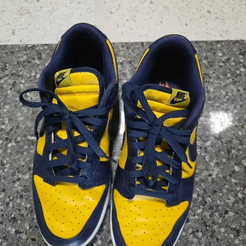 [BUNJANG] Nike Dunk Low Retro Varsity Maze / 나이키 덩크 로우 레트로 바시티 메이즈