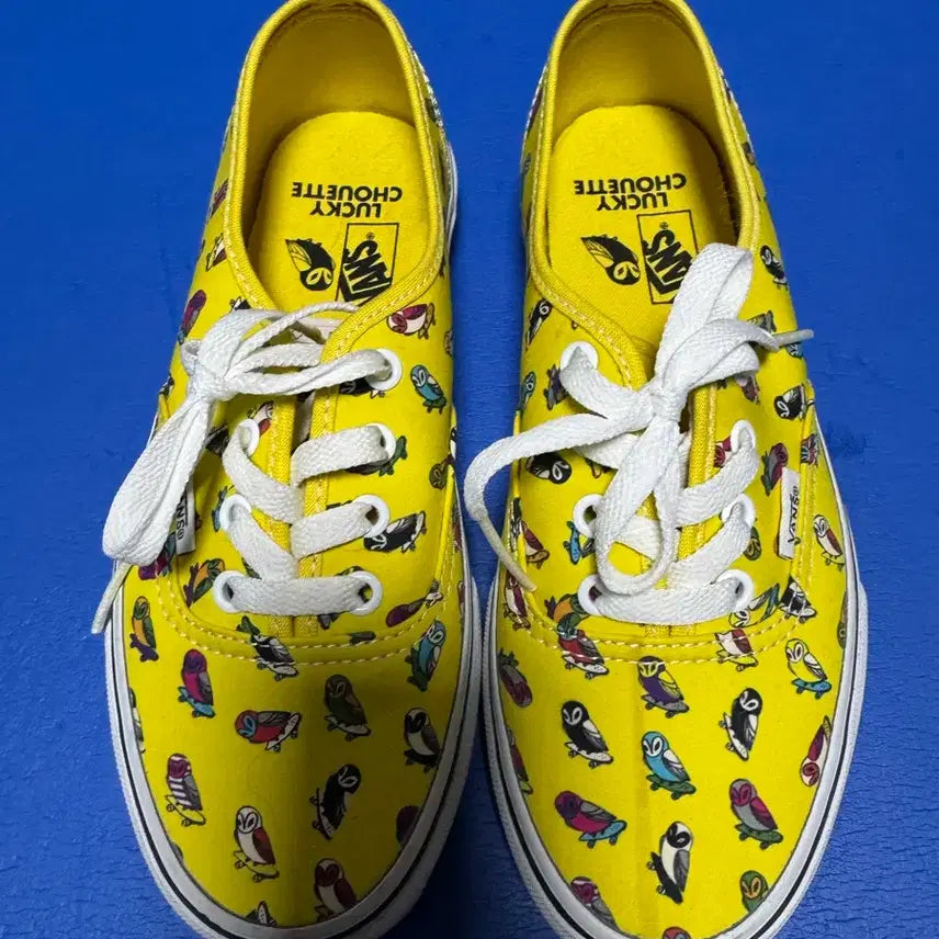 [BUNJANG] Vans Casual Shoes (Size 240) / 반스 새상품 240