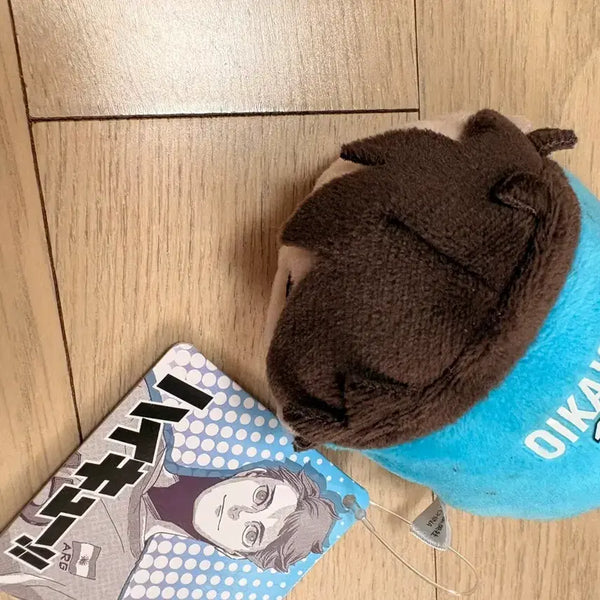 [BUNJANG] Haikyuu!! Toru Oikawa Plush / 하이큐 오이카와 토오루 누이
