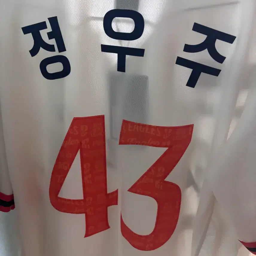 [BUNJANG] Hanwha Eagles 40th Anniversary Legacy Authentic Jersey (Size 105) / 어센틱 한화이글스 40주년 레거시 유니폼 105