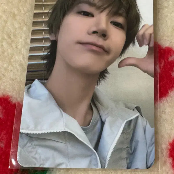 [BUNJANG] WayV NCT 10th Anniversary Haechan Ten Photocard Bundle Set / wayv 엔시티 팝업 해찬 10주년 5만원 특전 텐 포카 양도
