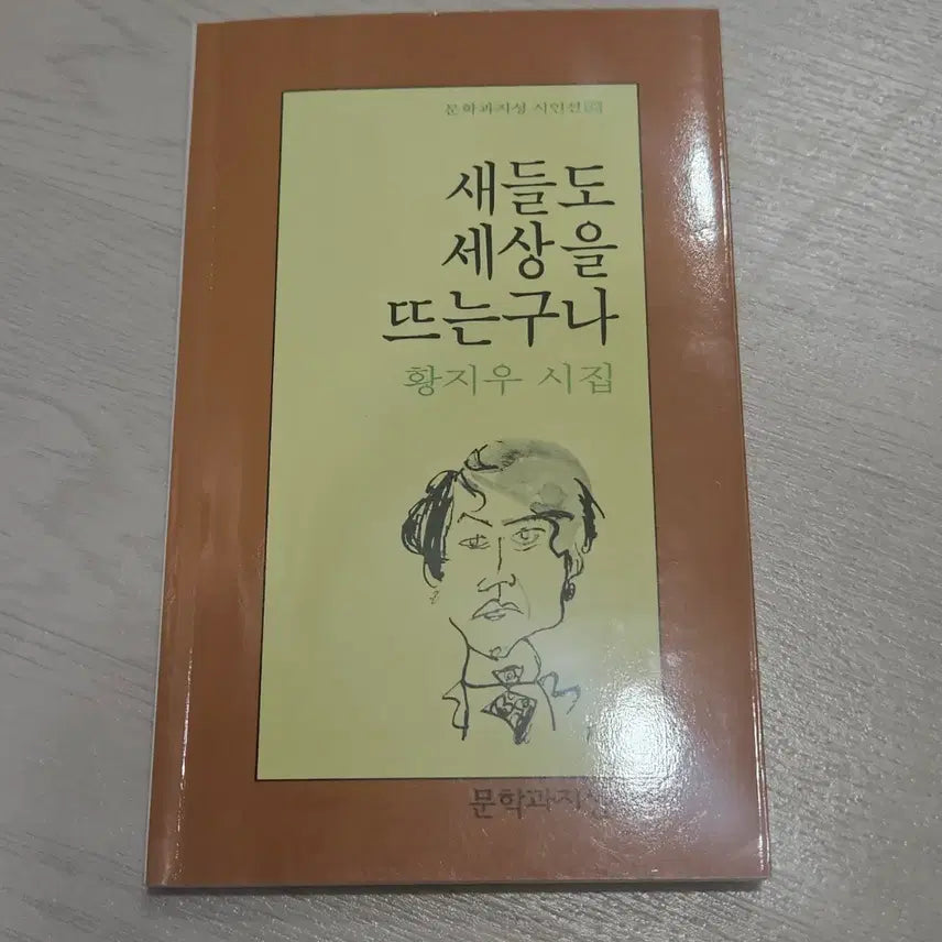 [BUNJANG] Hwang Ji-woo Poetry Collection: Birds Also Leave the World / 황지우 시집 새들도 세상을 뜨는구나  문학과지성사