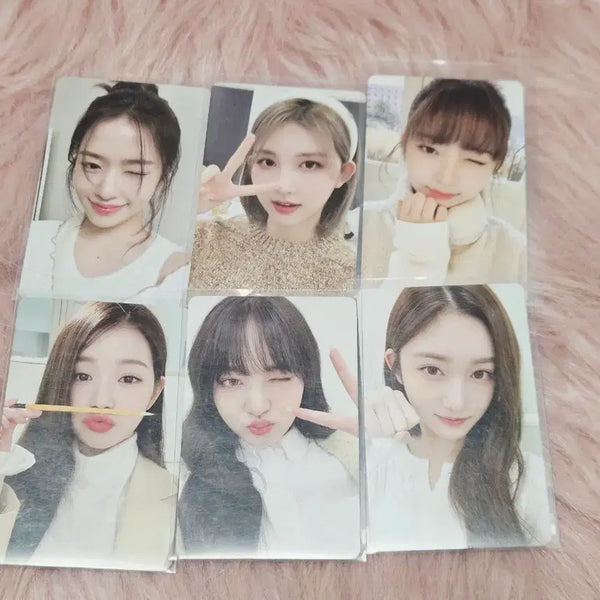 [BUNJANG] IVE DIVE Kit Photocard / 아이브 다이브 키트 포카