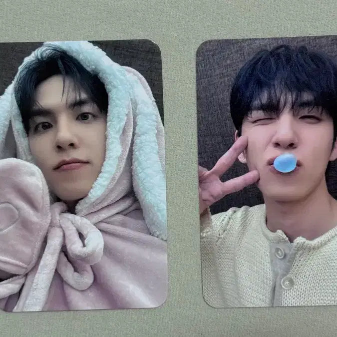 [BUNJANG] DAY6 Wonpil Unfiltered Lucky Draw Olive Young Who'sfan Bunny Blanket Photocard Bundle Set / (일괄) 원필 언필터드 미공포 올리브영 후즈팬 토끼담요 포카 양도