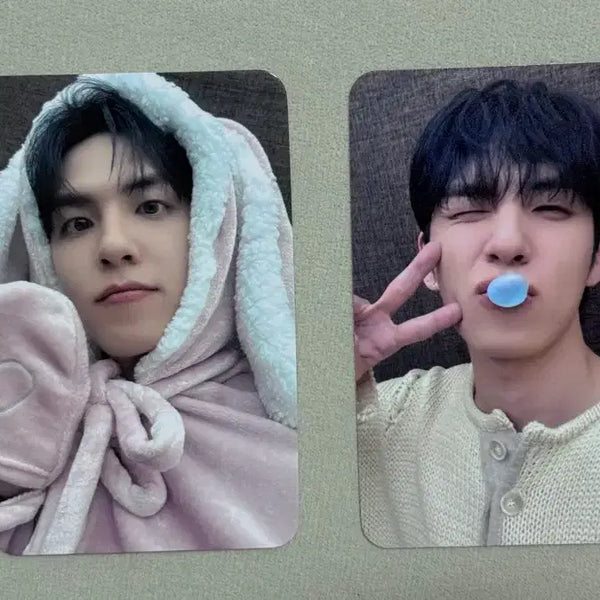 [BUNJANG] DAY6 Wonpil Unfiltered Lucky Draw Olive Young Who'sfan Bunny Blanket Photocard Bundle Set / (일괄) 원필 언필터드 미공포 올리브영 후즈팬 토끼담요 포카 양도