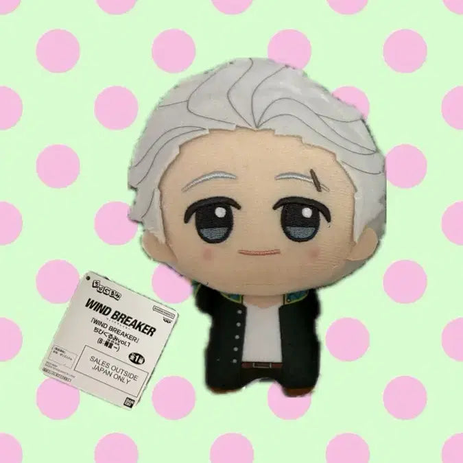 [BUNJANG] Wind Breaker Umemiya Plush Doll / 윈드브레이커) 우메미야 누이