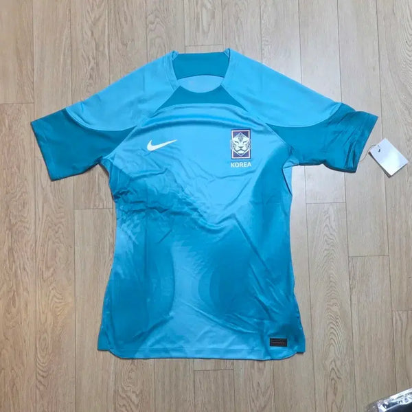 [BUNJANG] Nike Korea National Football Team Training T-Shirt (Sky Blue, Size L) / 미사용 나이키 한국 축구 국대 하늘색 트레이닝 반팔  L사이즈 (100)
