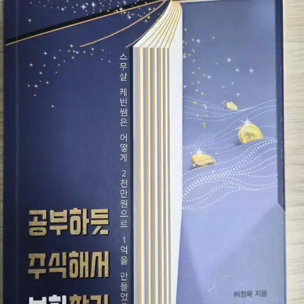 [BUNJANG] Study Like a Stock Investor: Find Your Hidden Treasures / 신간도서 서적 새로나온 책 ㅡ 공부하듯 주식해서 보화찾기