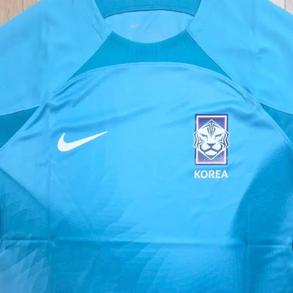 [BUNJANG] Nike Korea National Football Team Sky Blue Training T-Shirt (XL) / 미사용 나이키 한국 축구 국대 하늘색 트레이닝 반팔  XL사이즈 (105