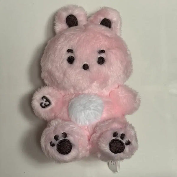 [BUNJANG] Day6 Wonpil Bunny Doll Kongpiri / 데이식스 원필 토끼 인형 콩피리 양도