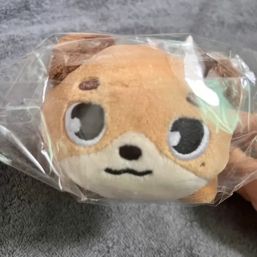 [BUNJANG] Day6 Day's Animal Plush Lying Dauon / 원가이하)데이식스 데니멀즈 플러시 라잉 돈 도운 미개봉