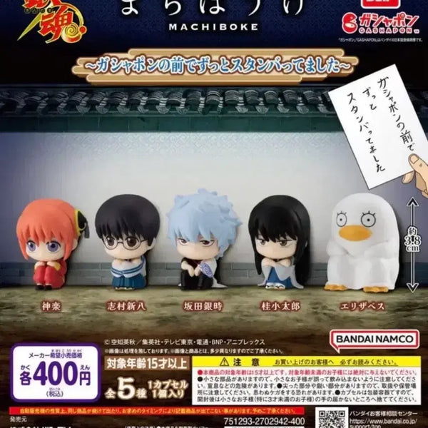 [BUNJANG] Gintama Machiboke Part 1 Shinpachi / 은혼 마치보케 1탄 신파치