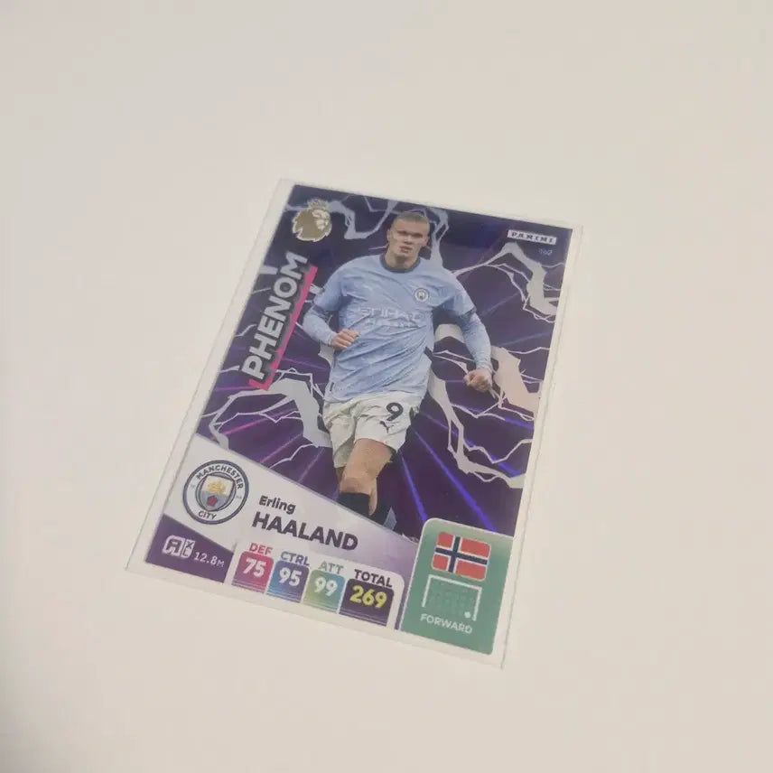 [BUNJANG] Panini Haaland Card / 파니니 홀란드 카드