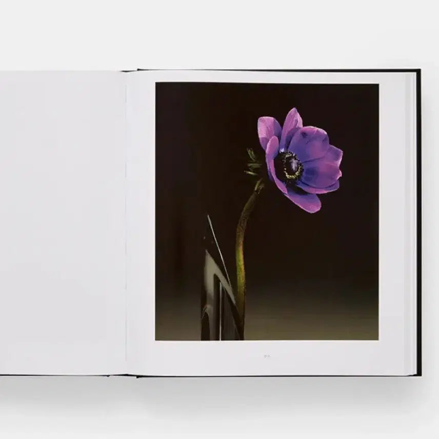 [BUNJANG] Robert Mapplethorpe Flora Photography Book (Sealed) / 미개봉 / MAPPLETHORPE 로버트 메이플소프 플로라 사진집
