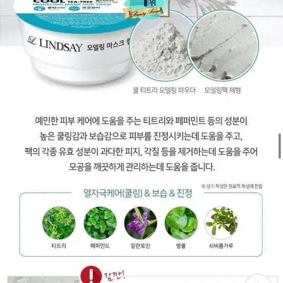 [BUNJANG] Lindsay Tea Tree Modeling Cup Pack (6 pcs) / (새상품)린제이 티트리 모델링 컵팩 6개입