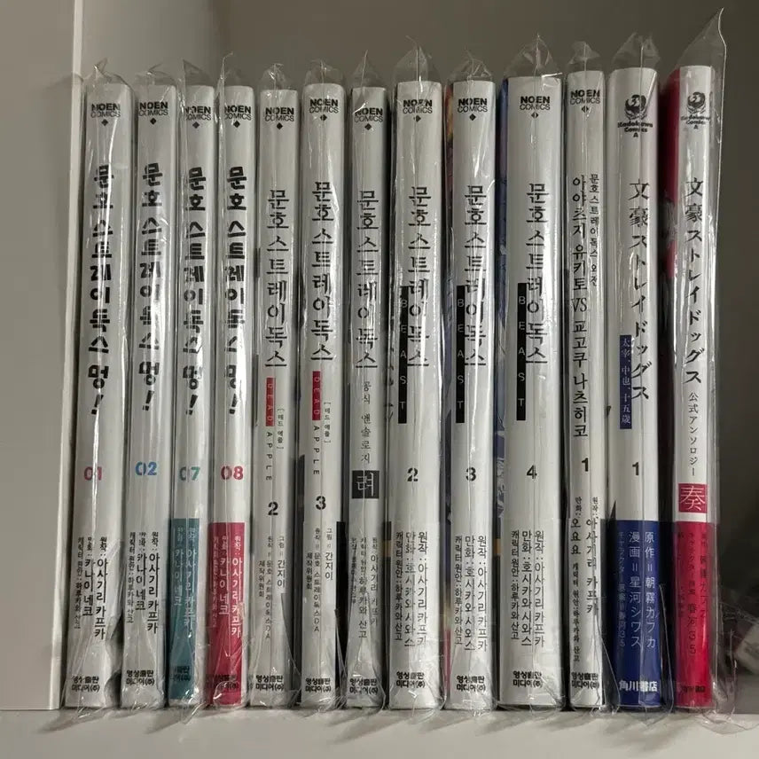 [BUNJANG] Bundle Set Bungo Stray Dogs Manga (Total 13 Volumes) / 일괄, 본편X ) 문호 스트레이독스 만화책 여러가지 처분 총 13권