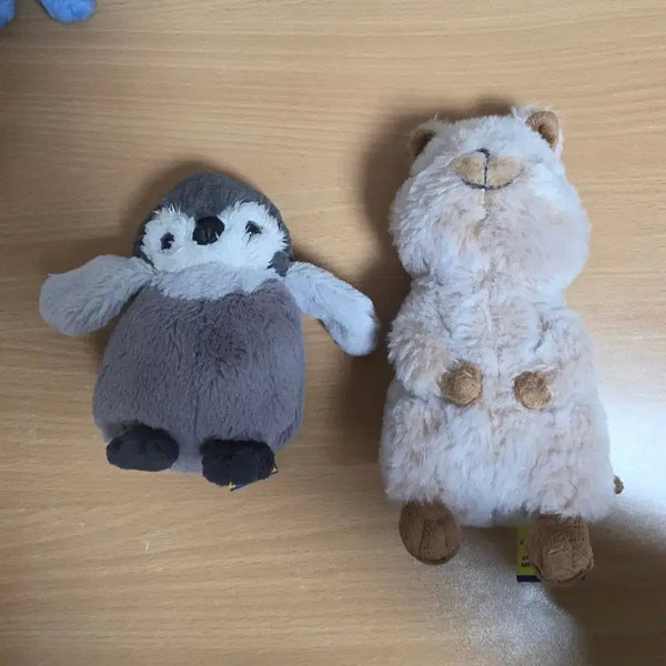 [BUNJANG] Quokka Penguin Plush Toy / 선레몬 썬레몬 쿼카 펭귄 인형