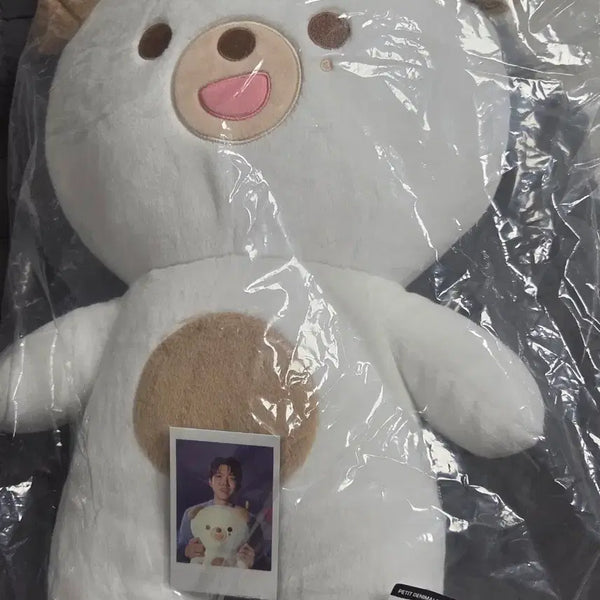 [BUNJANG] DAY6 Giant Petit Merz DON Photocard Holder / 데이식스 자이언트 쁘띠멀즈 돈