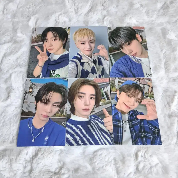 [BUNJANG] BOYNEXTDOOR 2024 Fanmeeting One Door Full Day T-Shirt Photocard Bundle Set / 보이넥스트도어 보넥도 2024 팬미팅 원도어풀데이 티셔츠 포카 일괄 양도