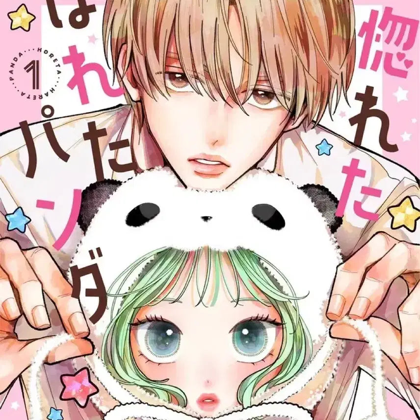 [BUNJANG] In Love Panda Original Edition Book / 사랑에빠진판다 원서