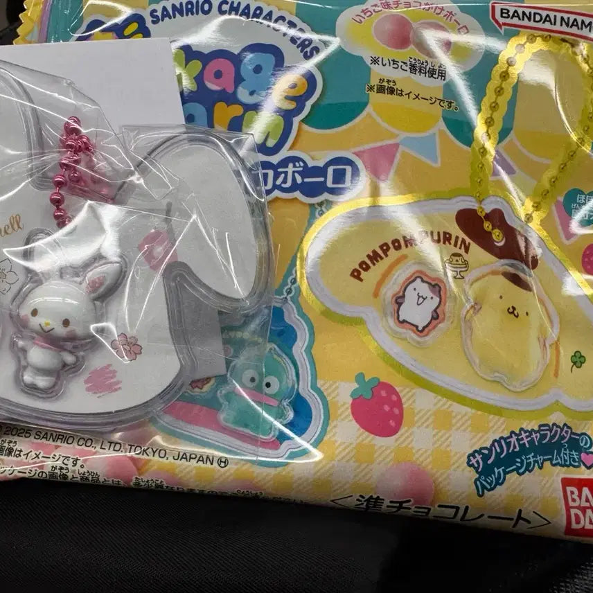 [BUNJANG] Bandai Sanrio Choco Ball Characters Package Charm / 위시미멜- 반다이 산리오 초코볼 캐릭터즈 패키지 참