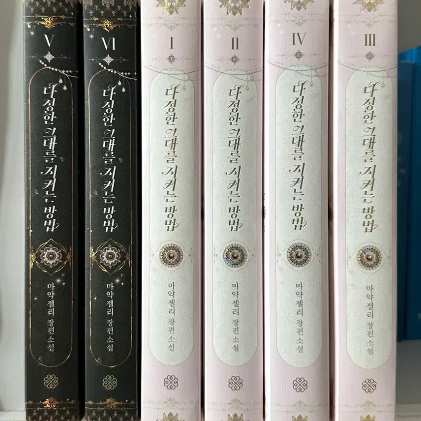 [BUNJANG] How to Protect a Tender You Novel Set / 다정한 그대를 지키는 방법 소설 세트