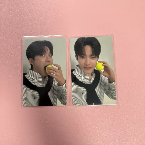 [BUNJANG] DAY6 Wellcome Concert MD Young K POB Photocard / 데이식스 웰쇼콘 콘서트 엠디 4만원 구매 특전 포카 도운