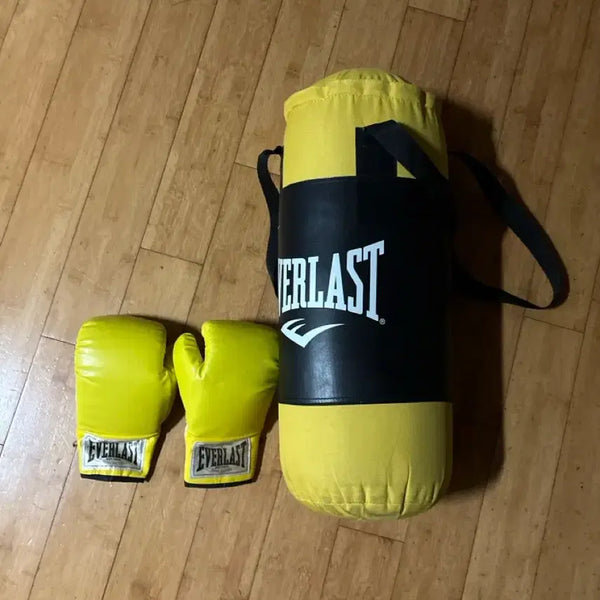 [BUNJANG] Children's Punching Bag with Gloves Set / 유아용 샌드백 판매