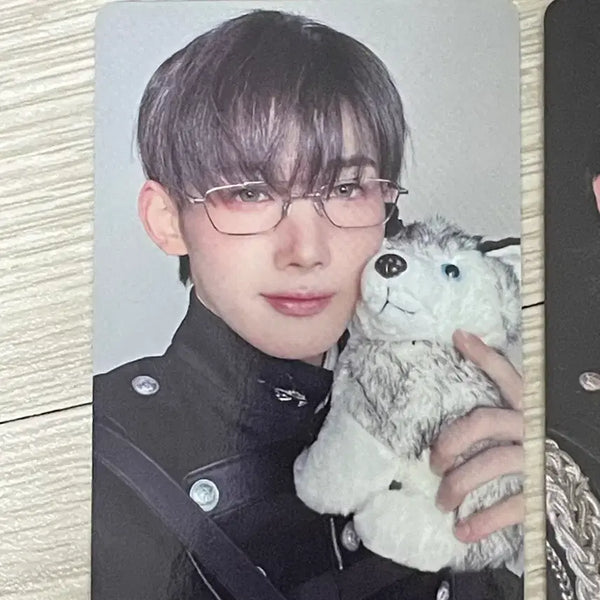 [BUNJANG] andteam Jo Japan Tour Photocard / 앤팀 콘서트 투어 포카  &team andteam jo 조 죠 르네존