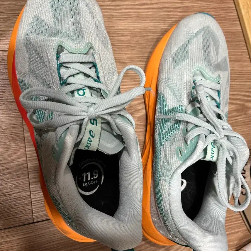 [BUNJANG] ASICS NovaBlast 5 Mint Running Shoes (240) / 아식스 노바블라스트 민트색 240