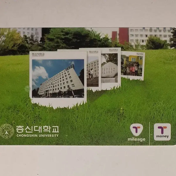 [BUNJANG] Chongshin University Promotional T-Money Transportation Card / 총신대학교 홍보용 증정용 티머니 교통카드 사용제 팝니다