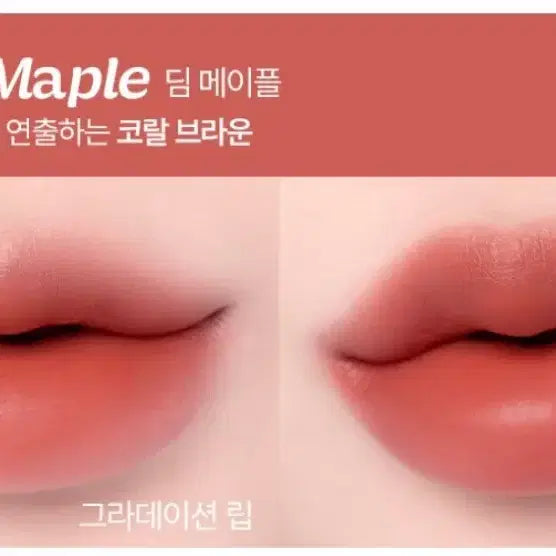 [BUNJANG] 2aN Fluffy Blur Tint 09 Dim Maple / 새상품)투에이엔 플러피 블러 틴트 09딤메이플