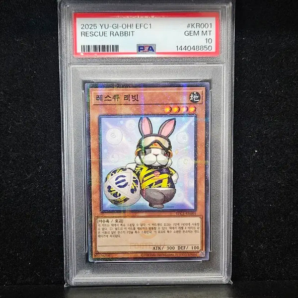 [BUNJANG] Yu-Gi-Oh! Rescue Rabbit PSA 10 Graded Card / 유희왕카드 레스큐 래빗 PSA10